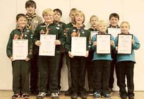 Top award for Scouts