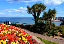 Wildflower meadow on the Croft will help monitor biodiversity in Tenby