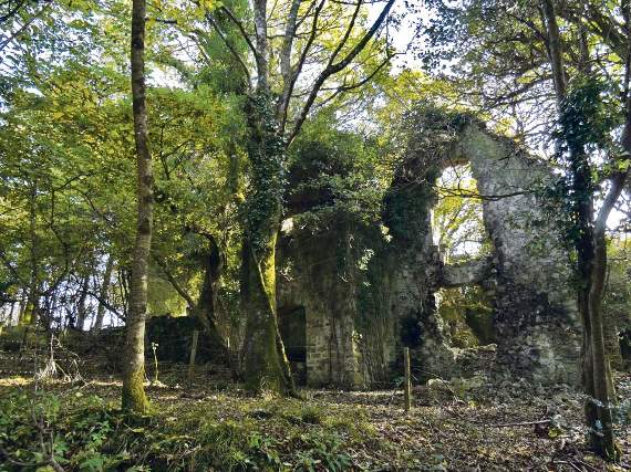 Discover the hidden history of Scotsborough House