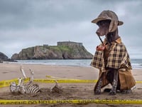 Model dog Bracken unleashes her latest 'Sherlock' inspired look