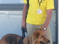 Caring canines enrich patients’ lives