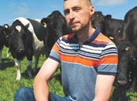 Search is on for Dairy Stockperson of the Year