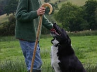 Straws in the Wind - a rural miscellany compiled by Meyrick Brown