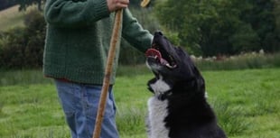 Straws in the Wind - a rural miscellany compiled by Meyrick Brown