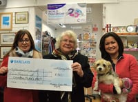 Boost for Cancer Research UK thanks to charitable Christmas cake maker