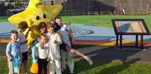 Cricket returns to the castle!
