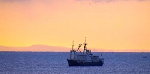 'Patricia' awakens local interest in Tenby