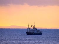 'Patricia' awakens local interest in Tenby