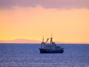 'Patricia' awakens local interest in Tenby