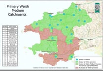 More ‘radical’ plan needed for Welsh medium education in Pembrokeshire