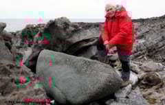 Giant glacial erratic hailed as ’missing piece’ of Bluestone puzzle
