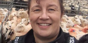 Warning to dog owners after 80 livestock worrying reports are received