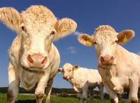 Nominations required for those who've made an outstanding contribution to agriculture in Pembrokeshire
