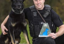 National award for hero dog who found missing mum and baby