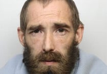 Milford man jailed for driving offences