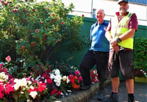 Local heroes behind Saundersfoot’s feel-good factor floral displays