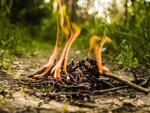 Council supports campaign to reduce grass fires