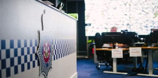 Police investigate a number of criminal damage incidents