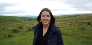Welsh Liberal Democrats’ Armistice Day message