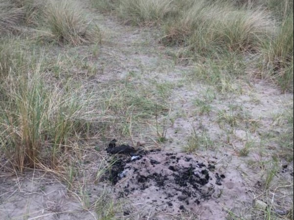 Barbecue charring on sand dunes