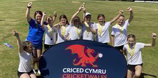Success for Tenby and Stepaside schools at cricket 