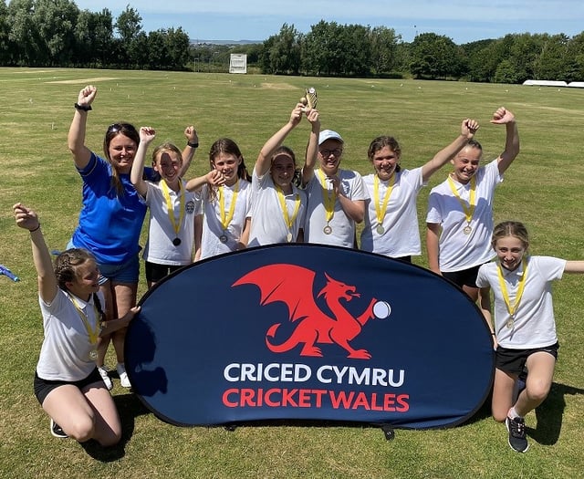 Success for Tenby and Stepaside schools at cricket 