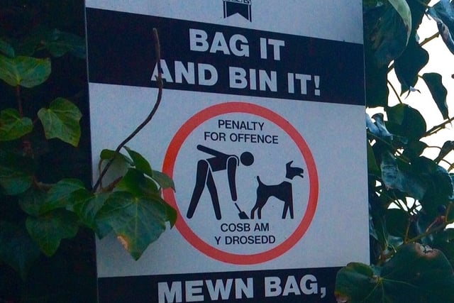 Saundersfoot councillors urge public to report dog fouling