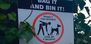Saundersfoot councillors urge public to report dog fouling