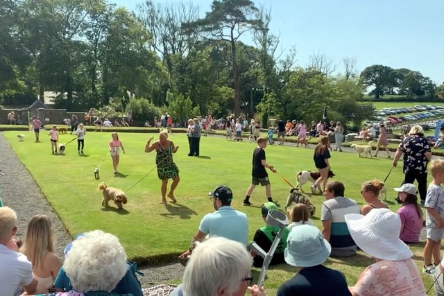 Cresselly Country Fayre is news to set tails wagging
