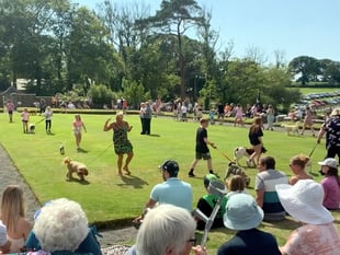 Cresselly Country Fayre is news to set tails wagging
