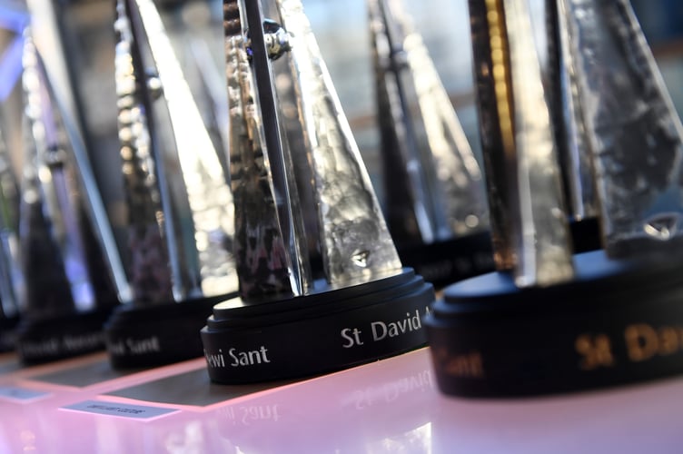 St Davids Awards
