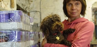 RSPCA distribute 49,000 servings of pet food to banks in Wales