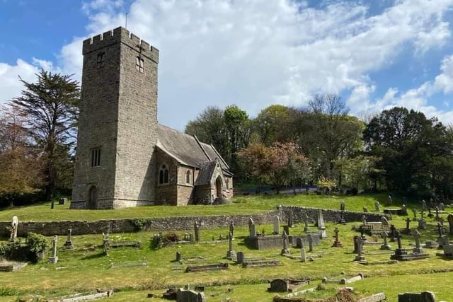 Discover Pembrokeshire's wildlife this May