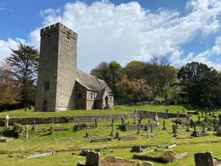 Discover Pembrokeshire's wildlife this May