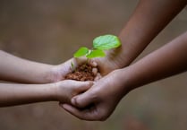 Tree planting and festive fun at Cilrath Acre