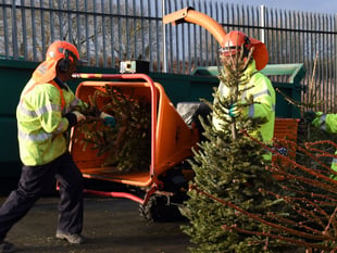 Pembrokeshire Council introducing Christmas tree collection charges