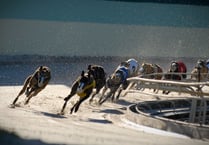 RSPCA hails ‘huge moment’ as Welsh Govt back ending greyhound racing