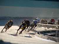 League welcomes Wales greyhound racing ban
