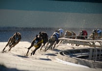 RSPCA hails ‘huge moment’ as Welsh Govt back ending greyhound racing