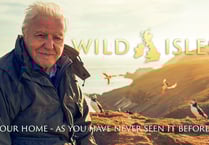 Pembrokeshire baby puffins star in episode 1 of Wild Isles
