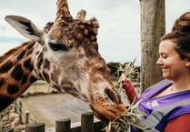 Folly Farm fascination for Saundersfoot WI