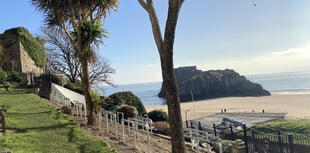 Cost-cutting changes to Tenby gardens ‘uglify’ the town, say residents