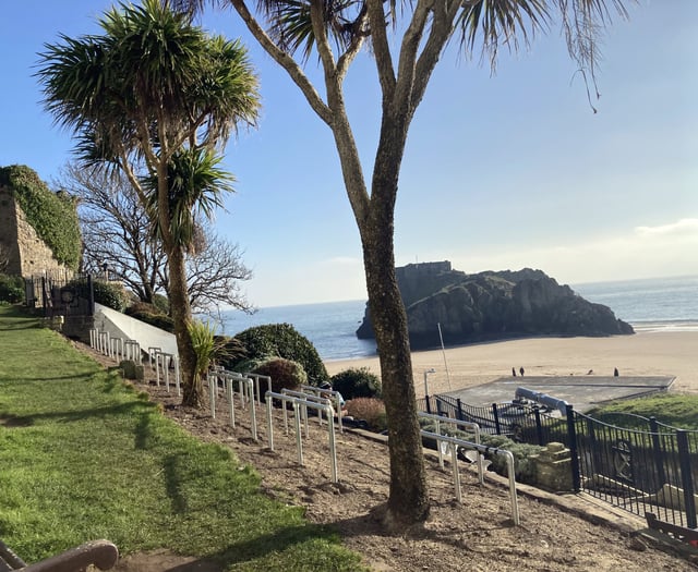 Cost-cutting changes to Tenby gardens ‘uglify’ the town, say residents