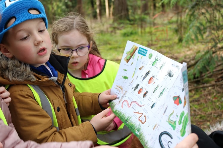 Primary outdoor learning