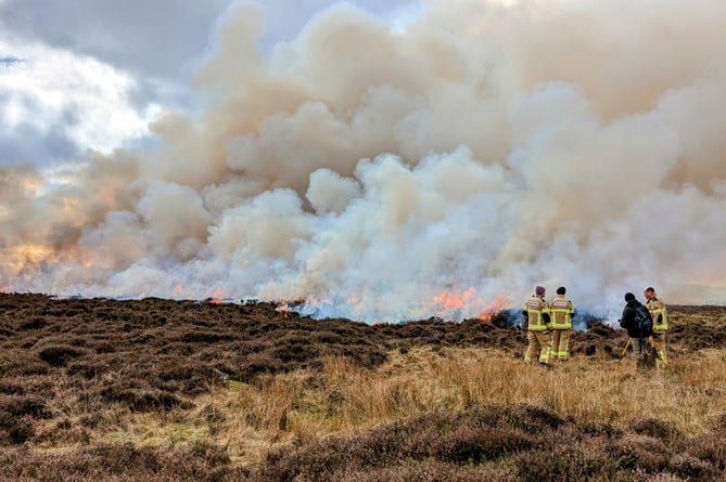 members of the Pembrokeshire Community Fire Safety team and Haverfordwest Station visited Carningli Mountain to oversee preparation works and a control burn