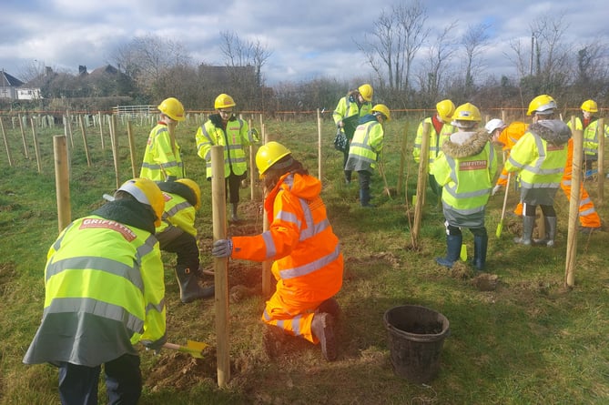 School children planting trees as part of the A40 improvements scheme
