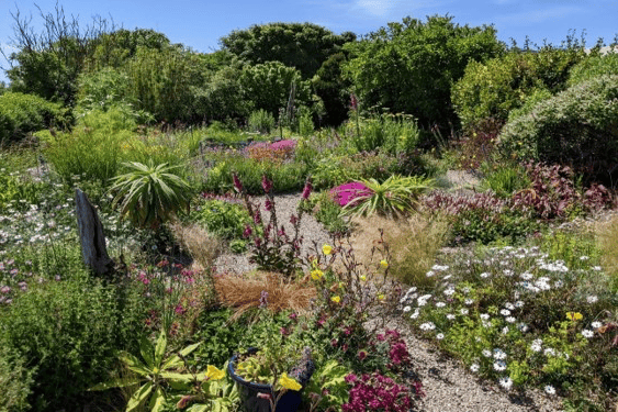 Perennial Nursery near St Davids