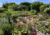 Pembrokeshire’s Perennial Nursery opens for 2023