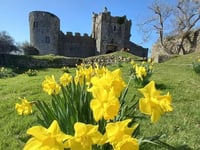 Manorbier Open Gardens scheme explained at Giraldus Centre meeting