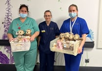 NHS charity buys soft toys for Special Care Baby Unit